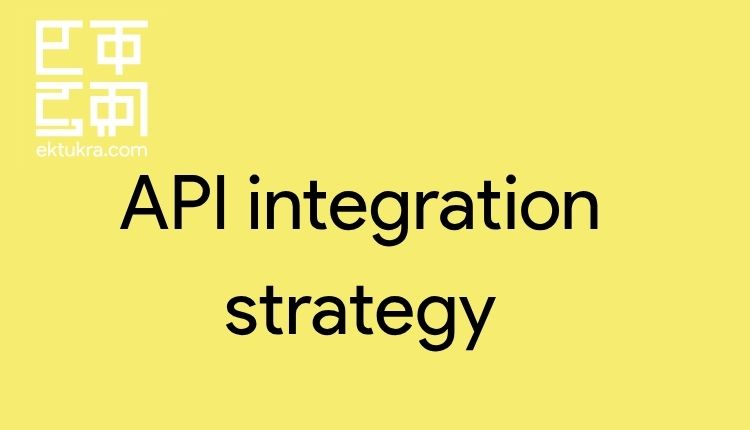 API integration strategy