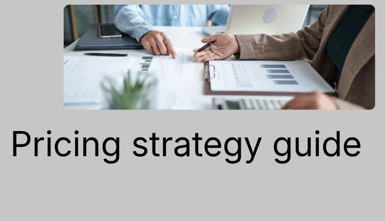 Pricing strategy guide
