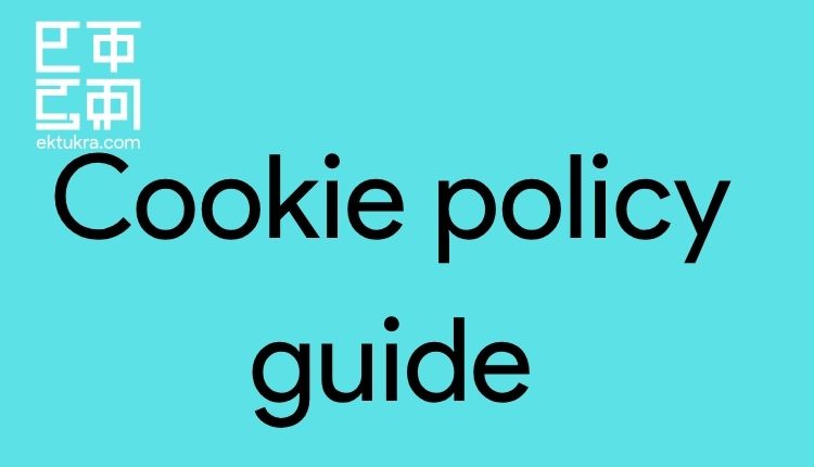 Cookie policy guide