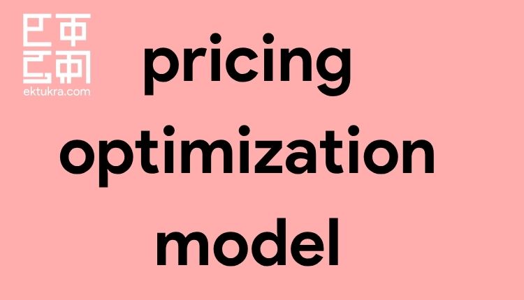 pricing optimization model
